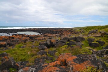 Fototapeta na wymiar Rugged wild coastline with rocks, lichen on Victorian coastline in Australia