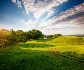 Fantastic rural area with fresh green pasture and blue sky on a sunny day.