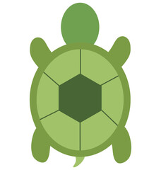 Obraz premium turtle illustration isolated on white
