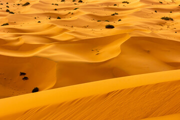 Fototapeta na wymiar Photo above the Sahara desert.
