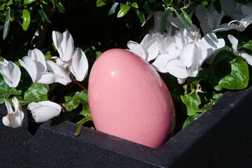 Large pink plastic Easter egg in planter box with white flowers