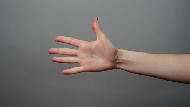 Close-up of isolated female hand counting from 0 to 5. Woman shows a fist, then one, two, three, four, five fingers. Girl extends her fingers, counting from one to five. Horizontal or vertical video