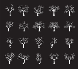 Spring Trees without Leaves on black background. Vector outline Illustration. Plant in Garden.