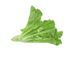 choy   isolated  on  transparent png - obrazy, fototapety, plakaty