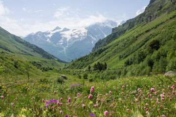 Pastoral landscape - green hillsides and snowy peaks of the high Caucasus mountains with glaciers...