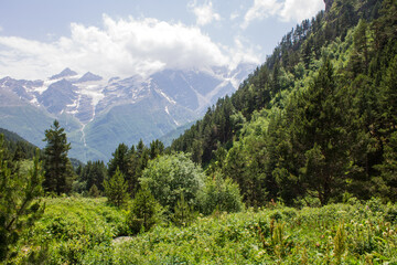 Fototapeta na wymiar Pastoral landscape - green hillsides and snowy peaks of the high Caucasus mountains with glaciers on a sunny summer day and an alpine meadow with grass and trees in Kabardino-Balkaria in the Terskol