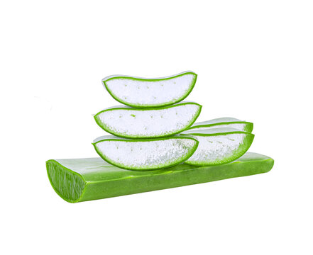aloe vera isolated on  transparent png
