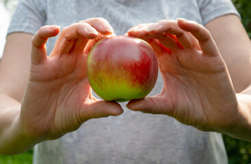 Woman's hands with apple, Healthy and vegan food concept