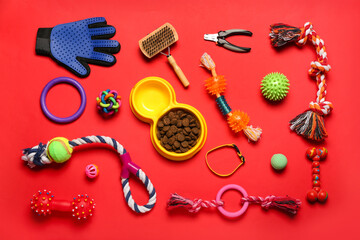 Composition with different pet care accessories and bowl of dry food on red background