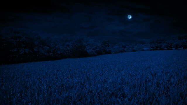 Flying Over Farm Field In The Moonlight