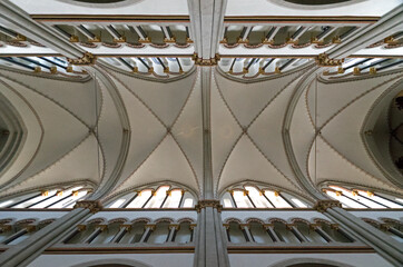 Blick ins Gewölbe der Münsterkirche in Bonn