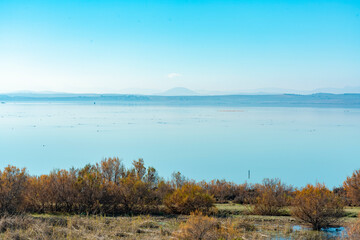 Laguna de Fuente Piedra nature reserve and residence for many birds from april till august...