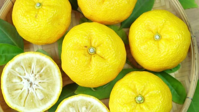 Yuzu Orange fruit on green natural Blur background. Sweet Yuzu Orange fruit in Wooden basket over blur greenery background, 