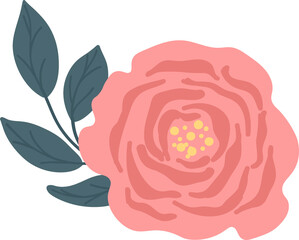 sweet pink spring  flower bouquet floral decoration illustration