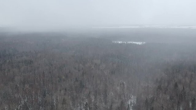 Slowly pan Footage in a Blizzard with Heavy Snow inside Gates of the Arctic National Park