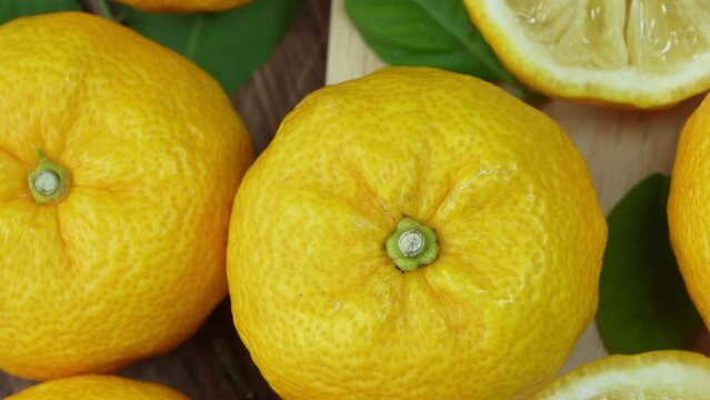 Fresh Sweet Yuzu Orange fruit on wooden plate over wooden background, Yuzu Orange fruit, Citron citrus on wooden background.