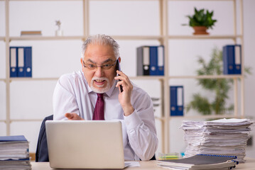 Old male boss working in the office