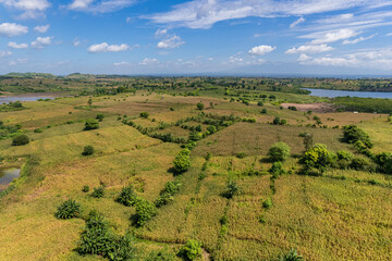 Fototapeta premium corn fields in East Lombok regency