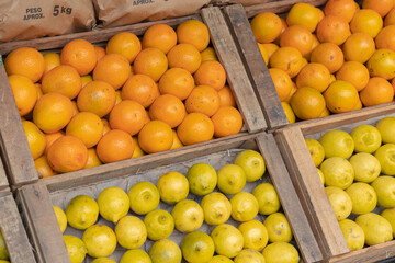 Oranges and lemons in crates for sale at a greengrocer.