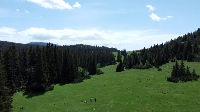 Vranica mountain untouched nature pine forest