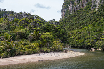 Fototapeta na wymiar views of paparoa national park, new zealand