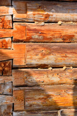 A fragment of the wall of an old log house on a spring day