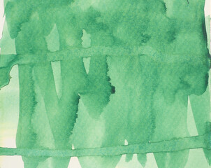 Abstract background and texture pattern green color flow on white background, Illustration watercolor hand draw and painted on paper