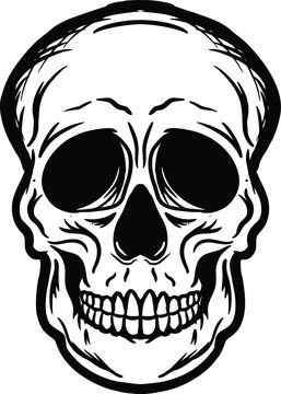 A skull set crossbones cross bone image vector illustrations