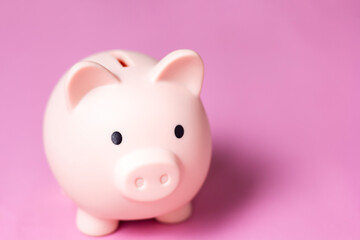 piggy bank on pink background. Finance and Investment Content