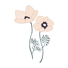 Spring flowers. Summer and spring blossom forest and garden flowers field isolated on white background. Floral and Nature springtime flower. Vector illustration flat