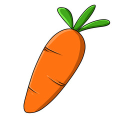 an orange carrot, freshly harvested from the garden and looking especially good for making soup