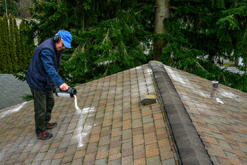 Senior man with a container of moss killer spreading the granules on a residential asphalt shake roof
