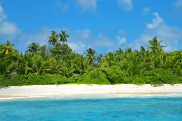 Coconut palm trees on sand beach of the island Grande Soeur near La Digue, Indian Ocean, Seychelles.