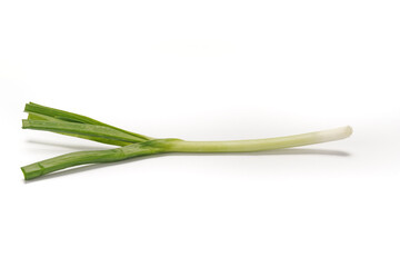 Obraz na płótnie Canvas Green onions close-up on white background
