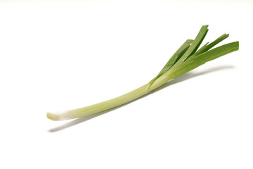 Obraz premium Green onions close-up on white background