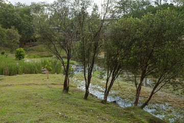 City park in Kuching, Malaysia, tropical garden with large trees and lawns, path, lake.