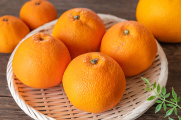 笊に盛った伊予柑