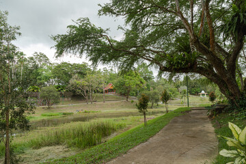 City park in Kuching, Malaysia, tropical garden with large trees and lawns, path, lake.