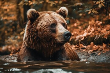 Fototapeta na wymiar Brown Bear in the fall high caliber. Generative AI