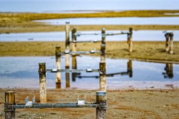 Vestiges d'un ponton au bord d'un lac