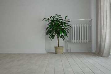 modern empty room with heating battery and beautiful plant  2 interior design. 3D illustration