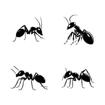 ant logo silhouette collection set hand drawn illustration