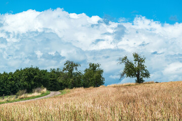 Fototapeta premium Paysage pittoresque de campagne