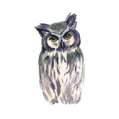 watercolor owl isolated on white background. Cute long eared owl staring with yellow eyes. Watercolor wise bird. Hand painted art illustration