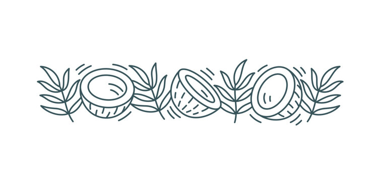 coconut and leaves line art border clip art preview