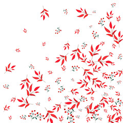 Green Rowan Background White Vector. Berries Nature Template. Burgundy Foliage. Pink Herb Silhouette. Plant Set.