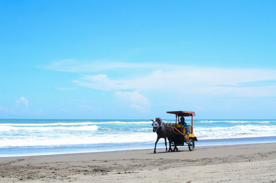 yogyakarta, Indonesia - March 18, 2023: horse rental at parangtritis beach. Dokar on parangtritis beach
