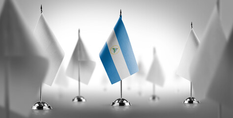 The national flag of the Nicaragua surrounded by white flags