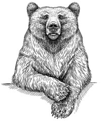 Vintage engrave isolated black bear set illustration ink sketch. American grizzly background asian animal silhouette art