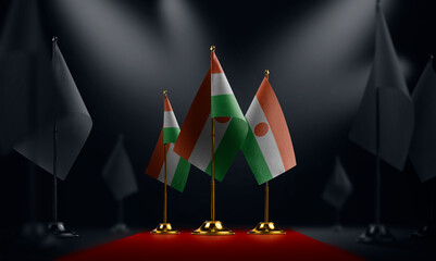 The Niger national flag on the red carpet